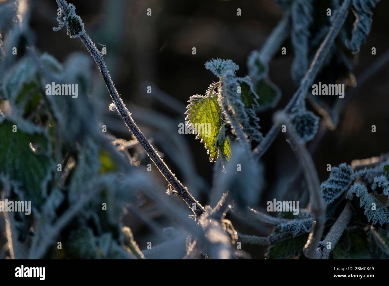 Winter in Scotland Stock Photo