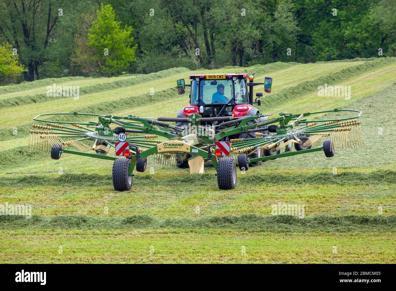 Red Massey Ferguson 7624 tractor tuning cut grass ready for it to dry and be harvested and collected for silage in  Cheshire rural farmland Stock Photo