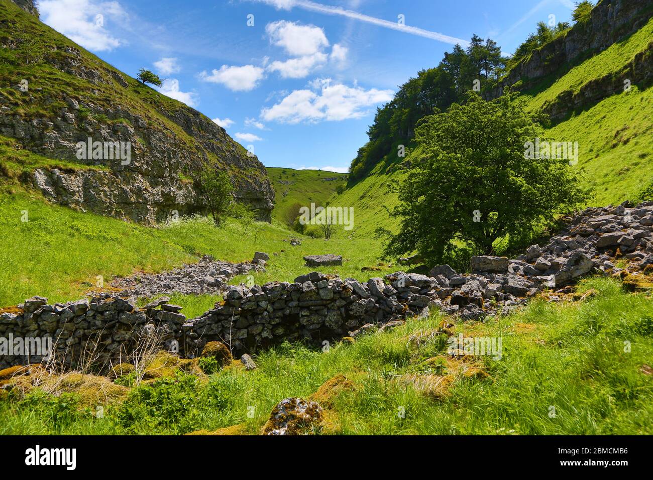 Sunny Summer view of Yorkshire Dales Stock Photo