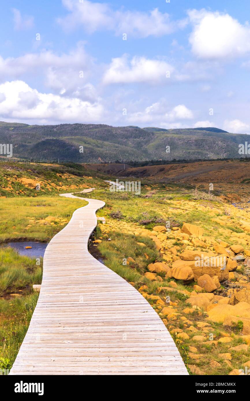 Boardwalk on Tablelands Trail, Gros Morne National Park, Newfoundland and Labrador, Canada Stock Photo