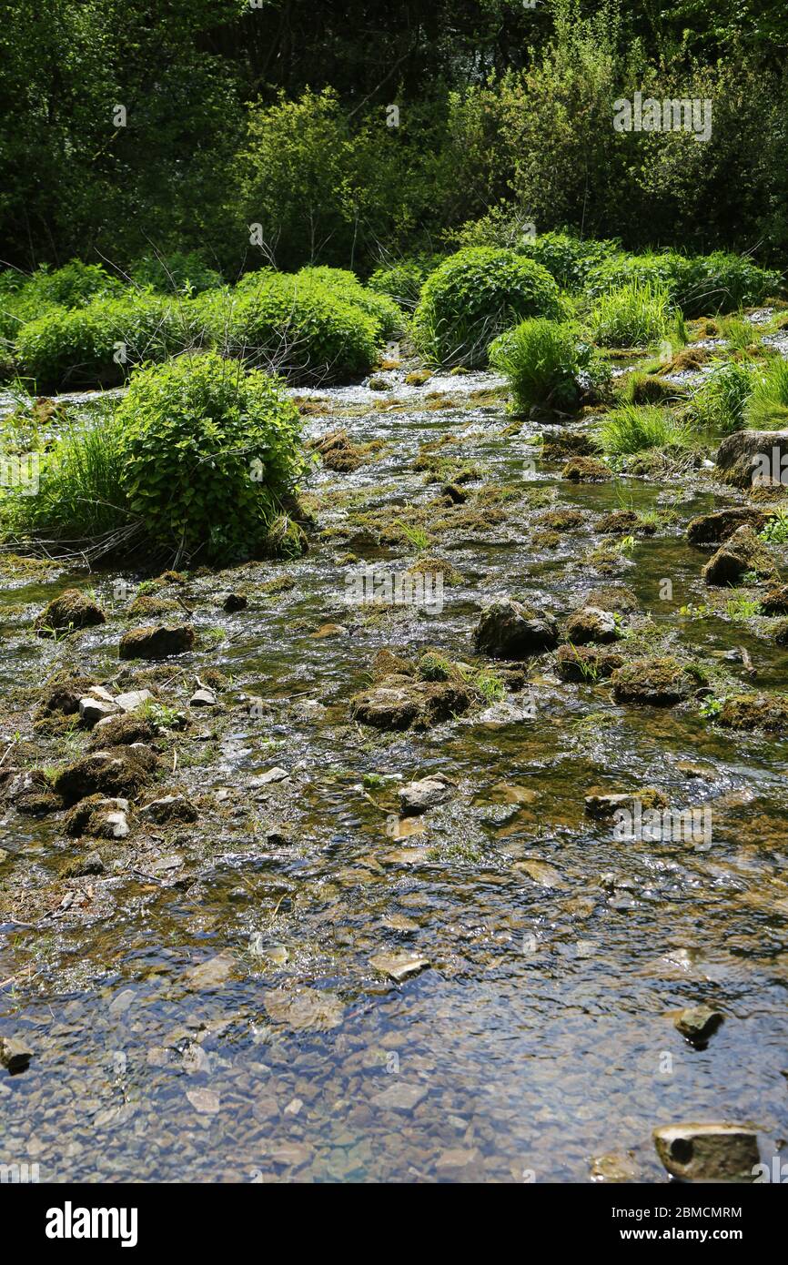 Sunny stream in Yorkshire Dales Stock Photo