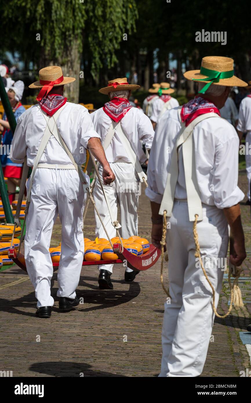 Edam, Netherlands August 2017: Cheese carrier at the traditional Edam cheese market take cheese to be weighed and recorded Stock Photo