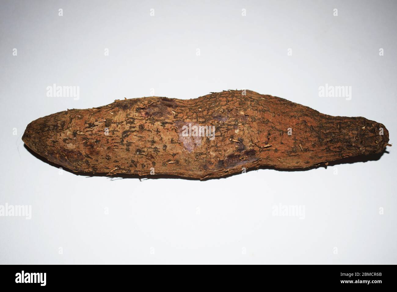 Close up of Yam tuber roots yam vegetable from India, one piece