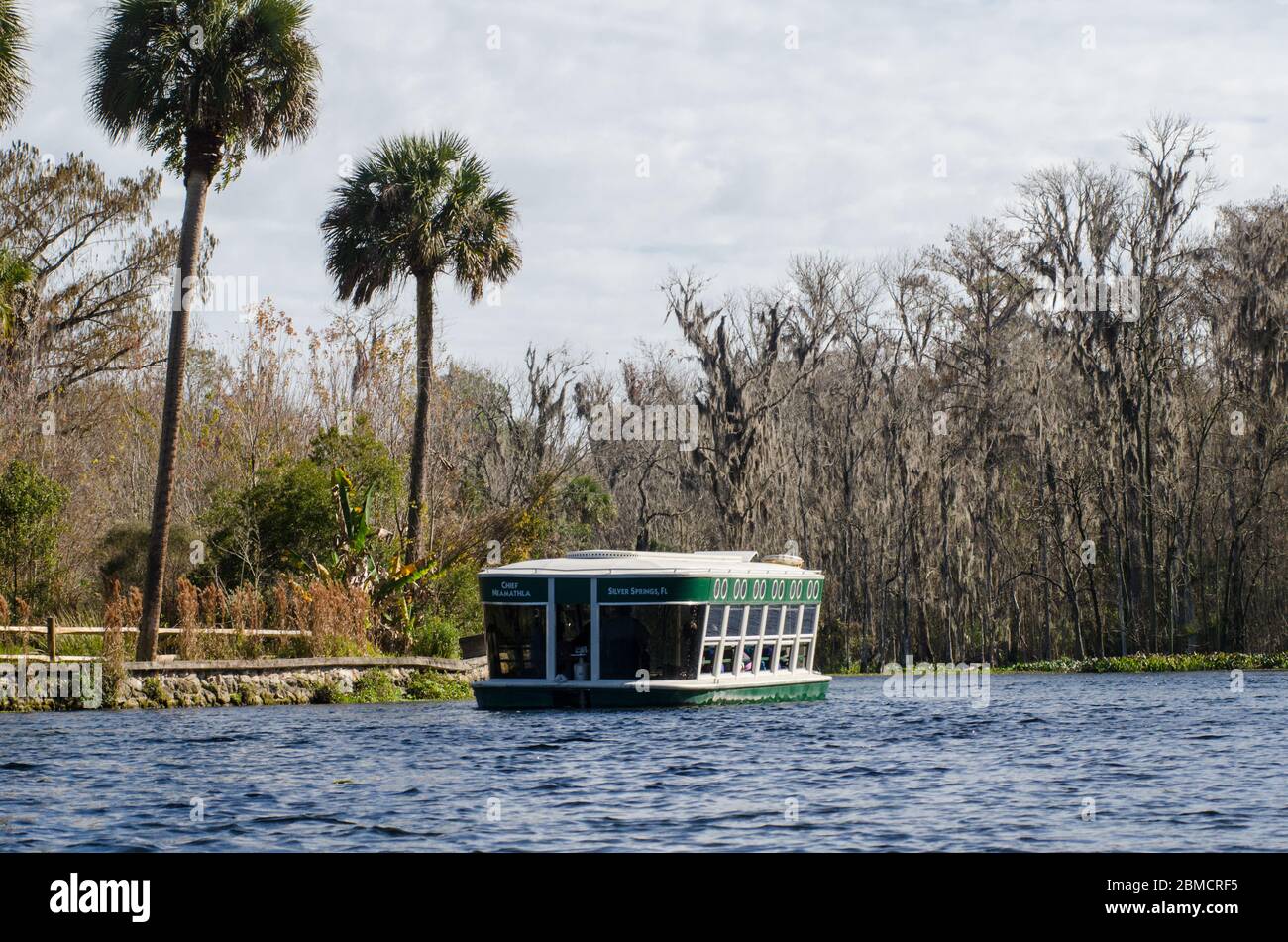 A glass bottom boat tour on the Silver River at Silver Springs State Park in Florida Stock Photo
