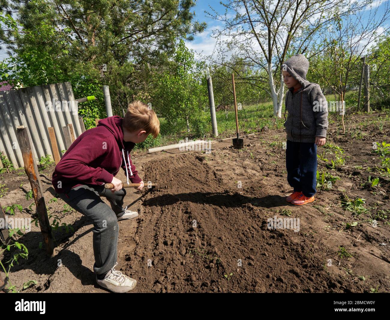 Caucasian boy rakes the ground in a garden bed, his younger brother ...