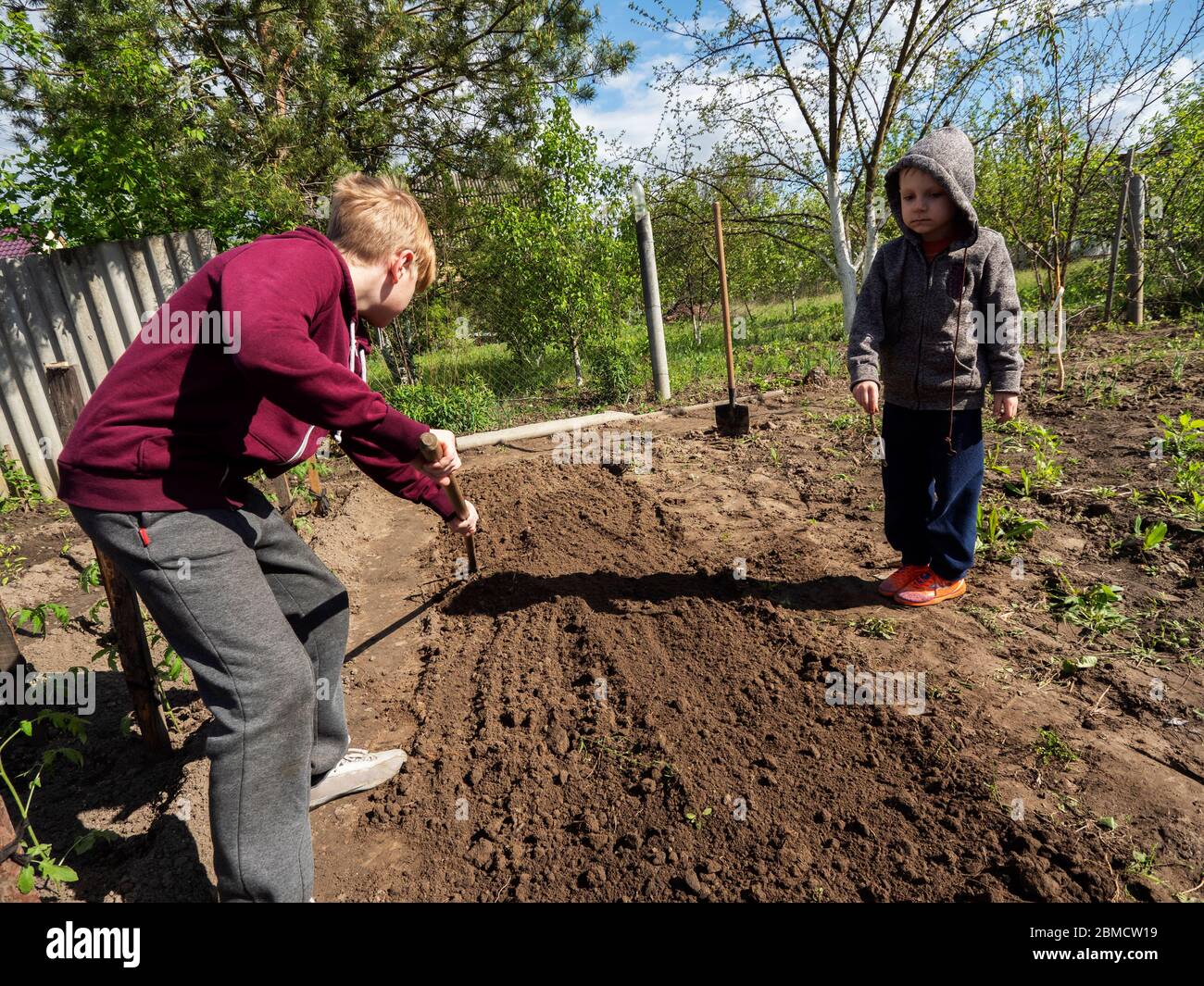 Caucasian boy rakes the ground in a garden bed, his younger brother ...