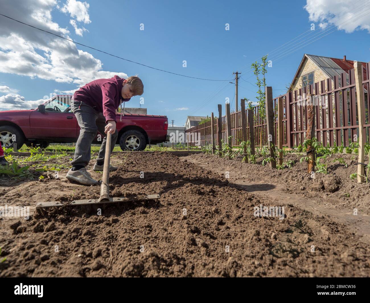 Caucasian boy rakes the ground in a bed with a rake Stock Photo - Alamy
