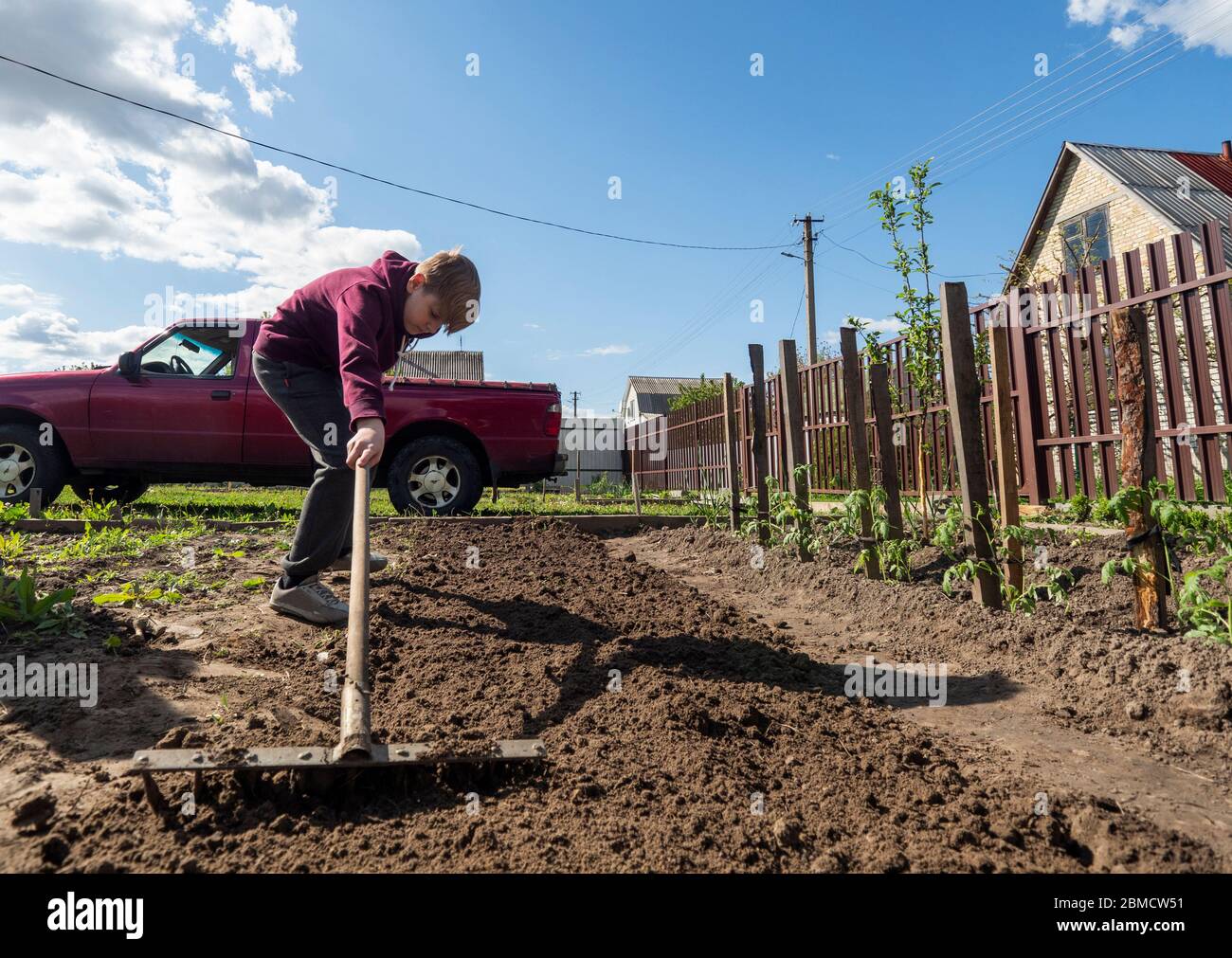 Caucasian boy rakes the ground in a bed with a rake Stock Photo - Alamy