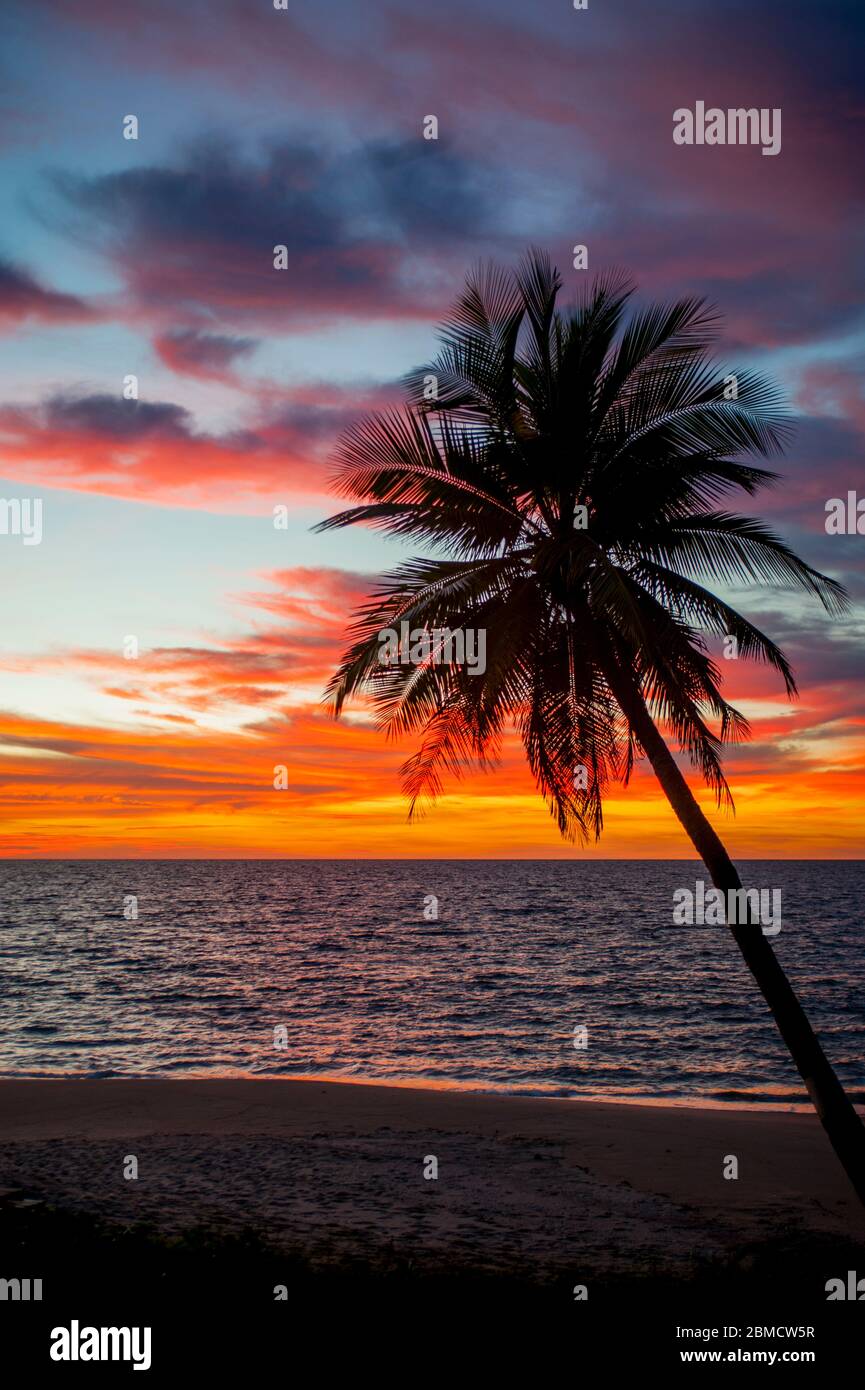 Palm tree sunset ocean hi-res stock photography and images - Alamy