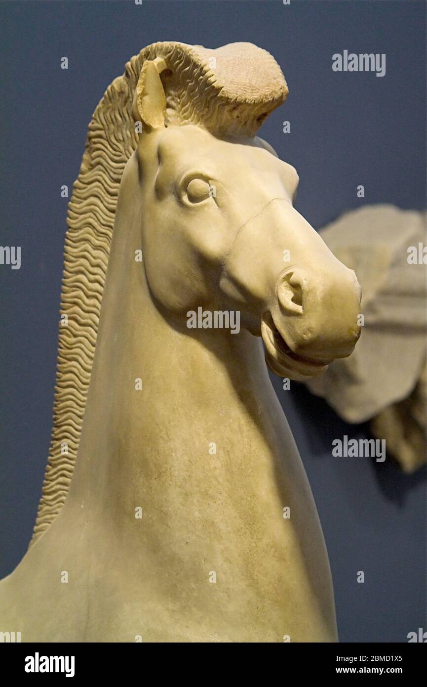 Horse's head carved in marble. Pferdekopf aus Marmor geschnitzt. Głowa konia wyrzeźbiona w marmurze. 用大理石雕刻的馬頭。 Stock Photo