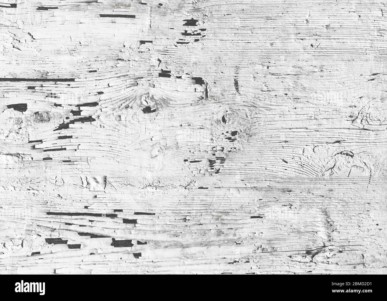 Cracked white paint on wood. Wooden wall with white paint is severely
