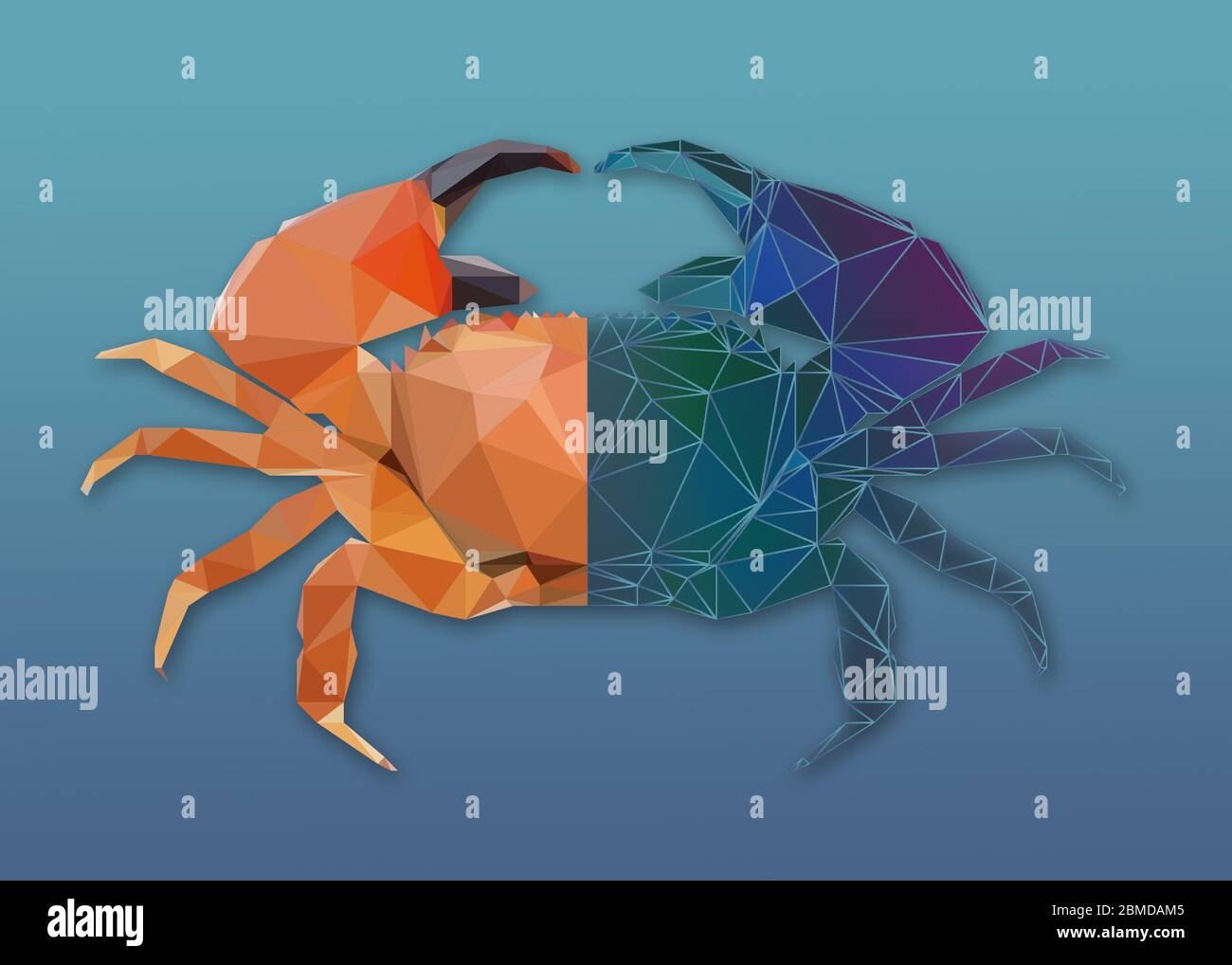 partially orange, partially blue-green crab against ocean-blue background Stock Photo