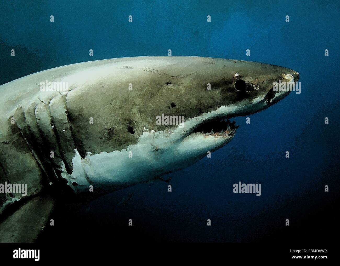 Great White Shark is an apex predator and amazing underwater creatures in the watercolour picture Stock Photo