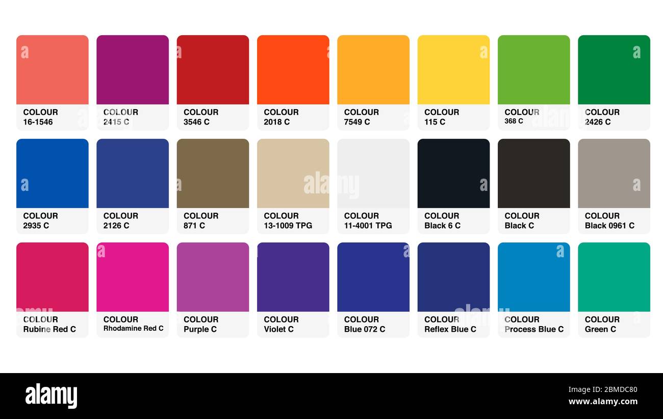 Colour Palette Catalog Samples Vector in RGB Stock Vector