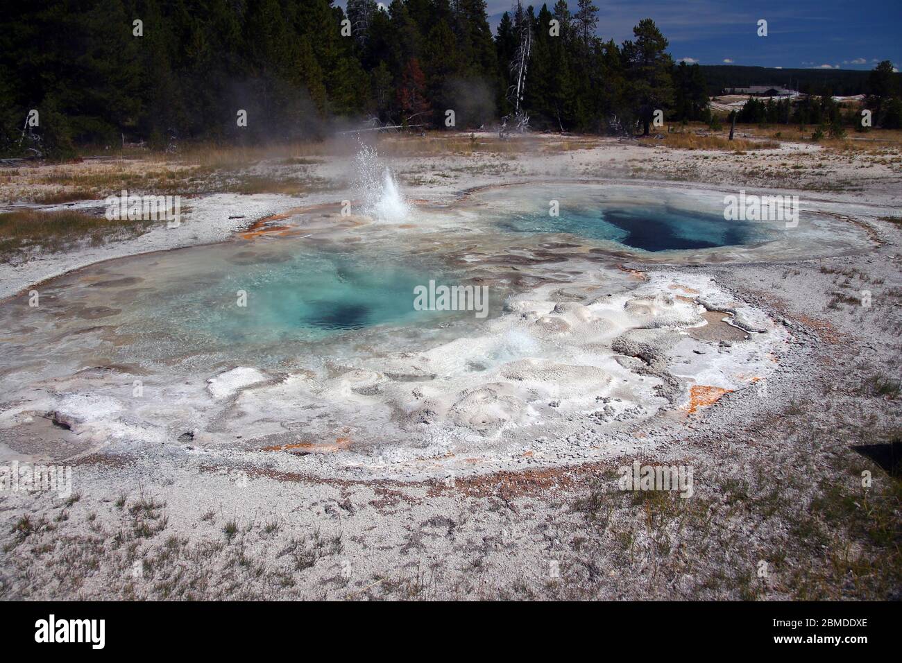 Boiling water in crystal clear basins in Yellowstone Stock Photo Alamy