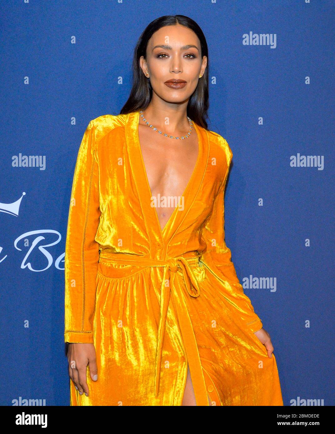 New York, NY - Feb 05, 2020: Ilfenesh Hadera attends the 2020 amfAR New