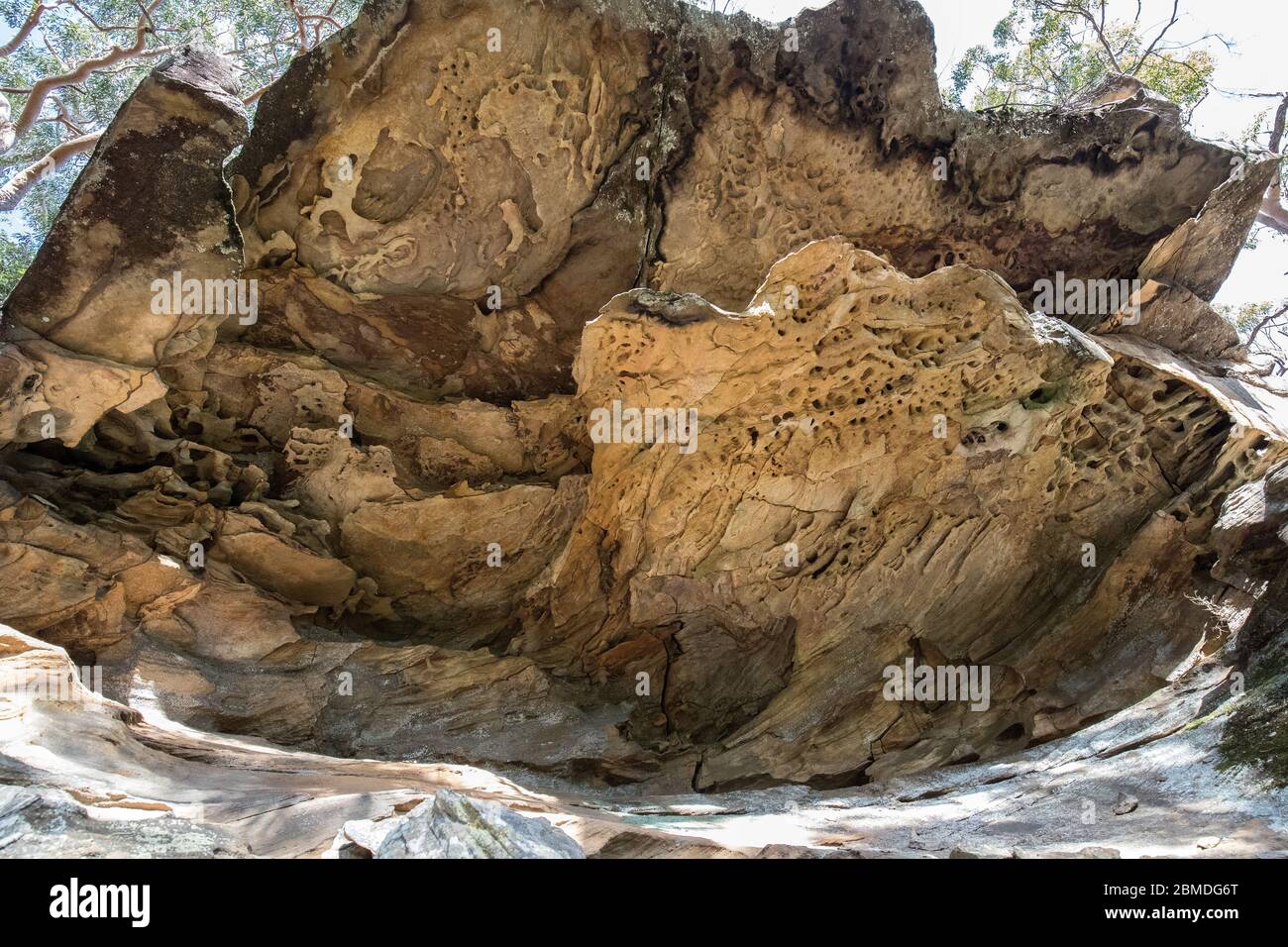 Sandstone rock overhand in Sydney Basin Stock Photo