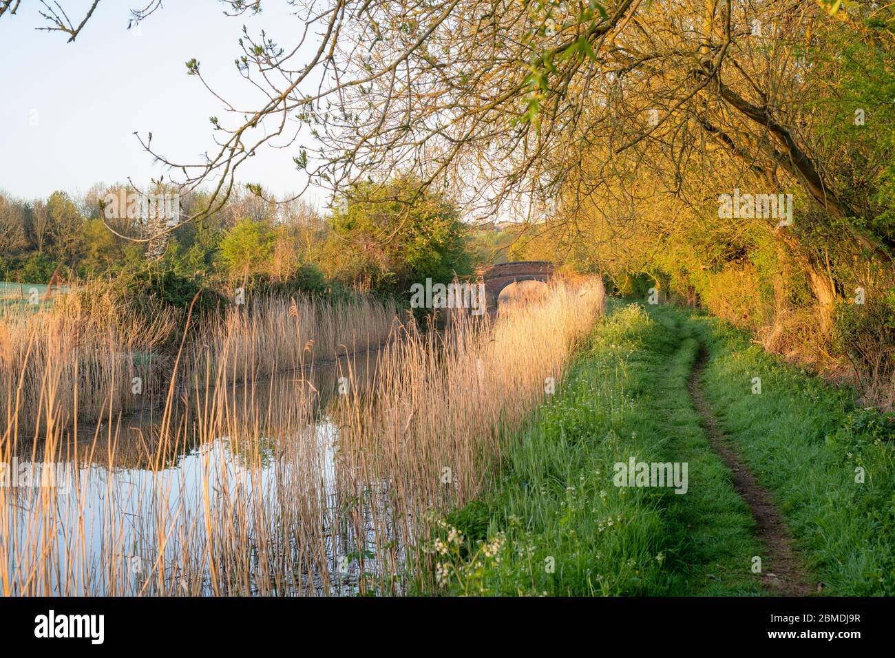 Oxford canal on a spring morning. Lower Heyford, Oxfordshire, England Stock Photo