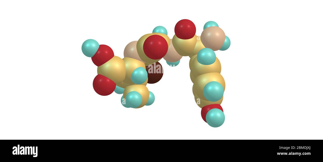 Amoxicillin is an antibiotic useful for the treatment of a number of