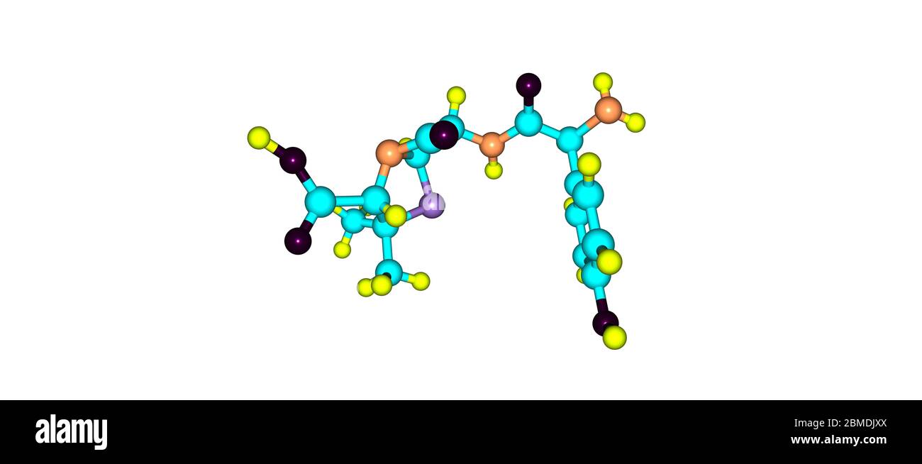 Amoxicillin is an antibiotic useful for the treatment of a number of bacterial infections
