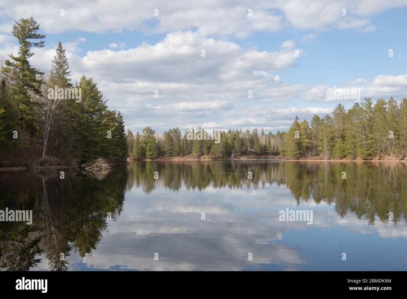 Spring forest scenery reflected in the calm lake in Ontario Canada ...