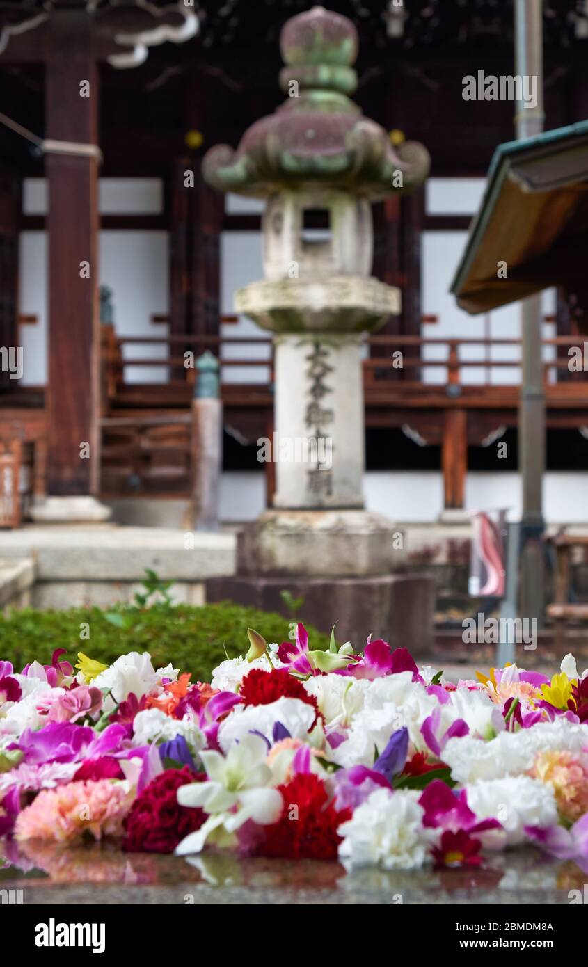 The view of traditional Kasuga-doro stone lantern with the colorful flower buds on the foreground in the garden of Kyoto temple. Japan Stock Photo