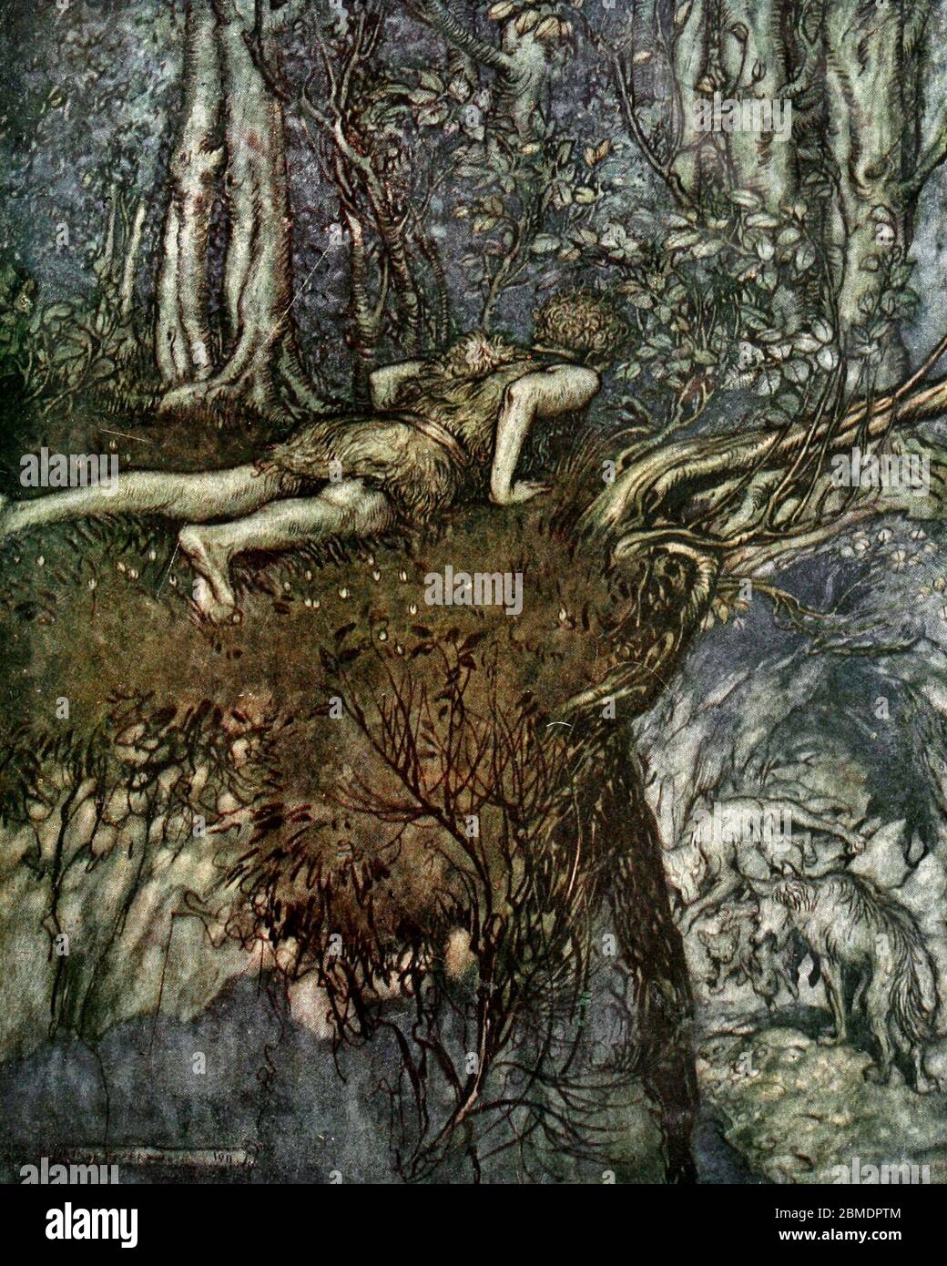 And there I learned what love was like - Siegfried from Siegfried, The Ring of the Nibelungen - Arthur Rackham, circa 1911 Stock Photo