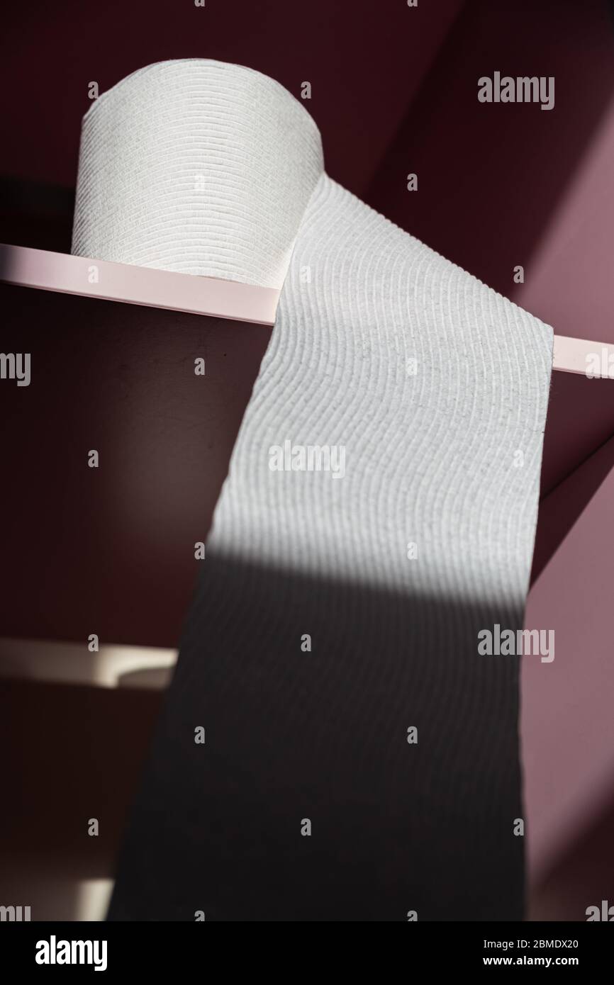 Hero shot of toilet paper roll on empty shelves with shallow focus Stock Photo