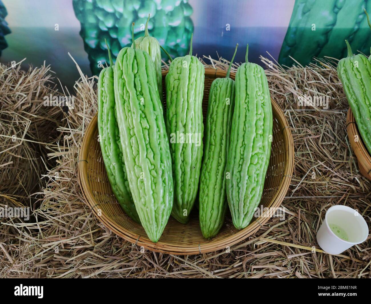 Close up of Bitter gourd in a basket Stock Photo - Alamy