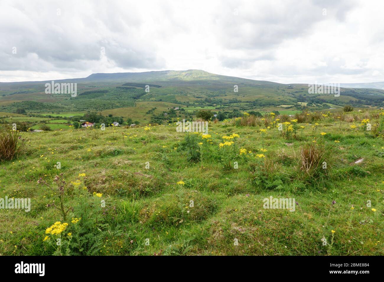 Cavan Burren Park, Geopark, Blacklion, Ireland Stock Photo Alamy