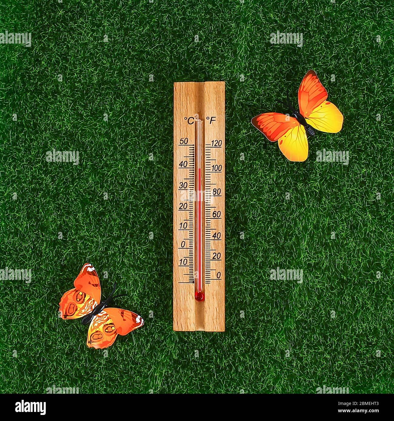 Thermometer displaying high 40 degree hot temperatures in sun summer day. temperature 40. Summer temperature. Thermometer on the grass with butterflie Stock Photo