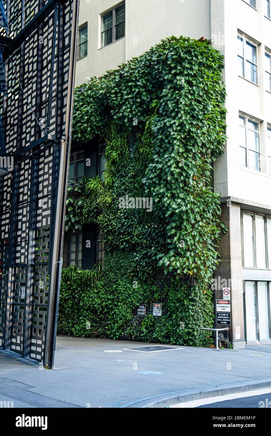 Vertical feature hires stock photography and images Alamy