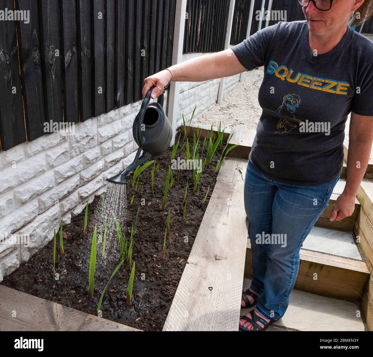 Watering the garden,uk Stock Photo Alamy