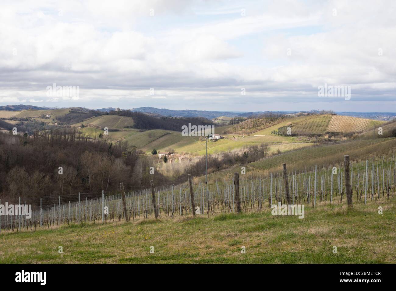 Italy. A Langhe scenic rural road between Rocchetta Palafea and Cassinasco Stock Photo