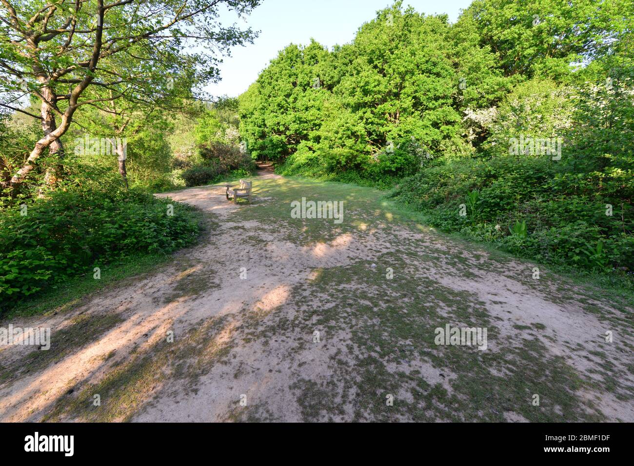A Scenic Walk Thought Riverside Park In Horley Surrey In May Stock Photo Alamy