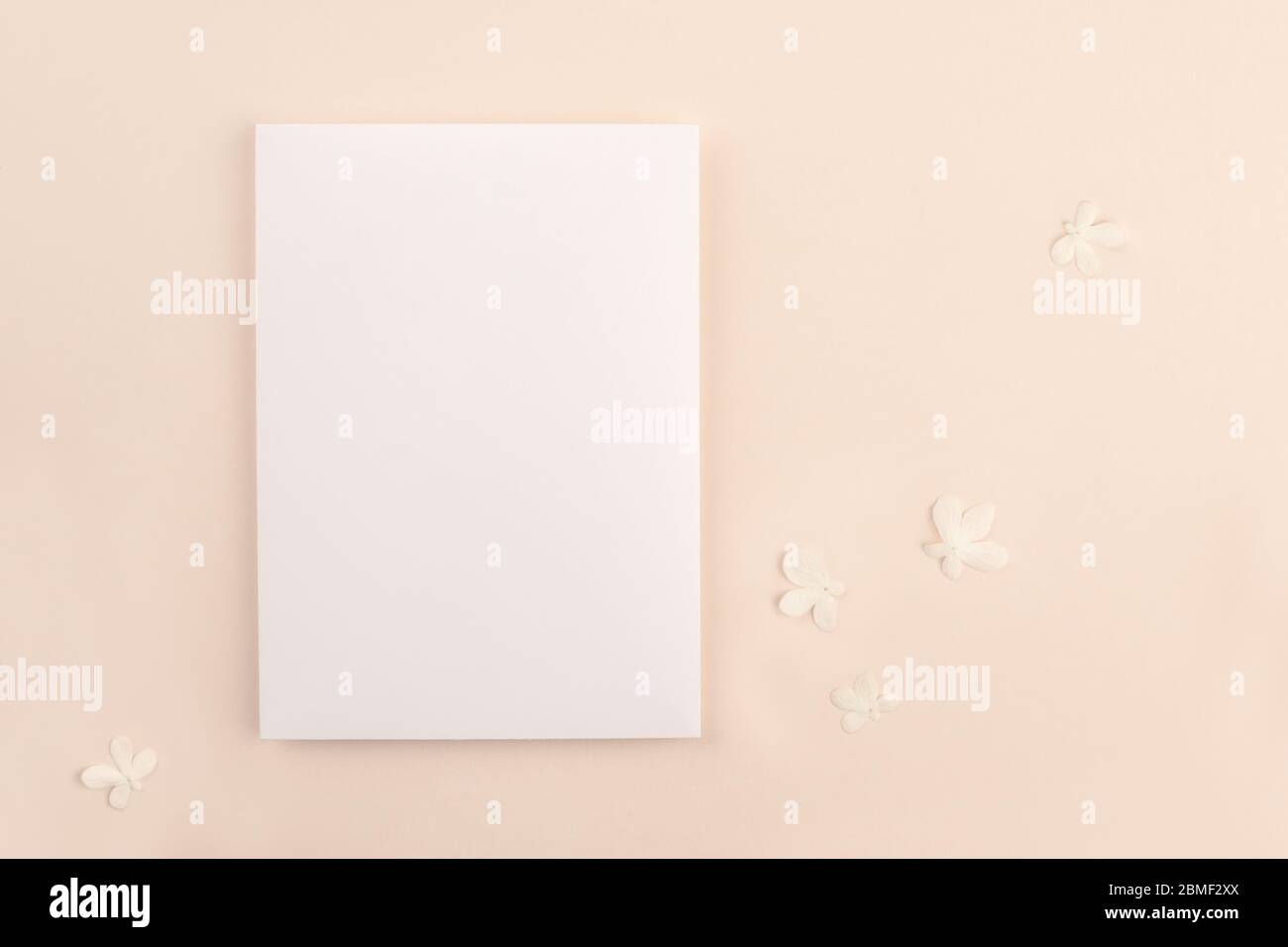 Romantic wedding blank invitation card mock up on soft pink background with small white flowers. Modern neutral minimal feminine stationery presentati Stock Photo