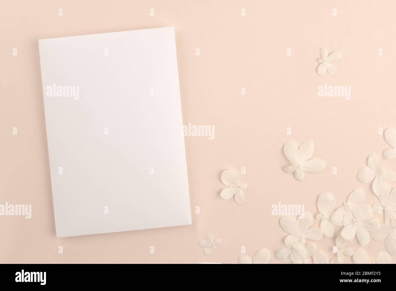 Romantic wedding blank invitation card mock up on soft pink background with small white flowers. Modern neutral minimal feminine stationery presentati Stock Photo