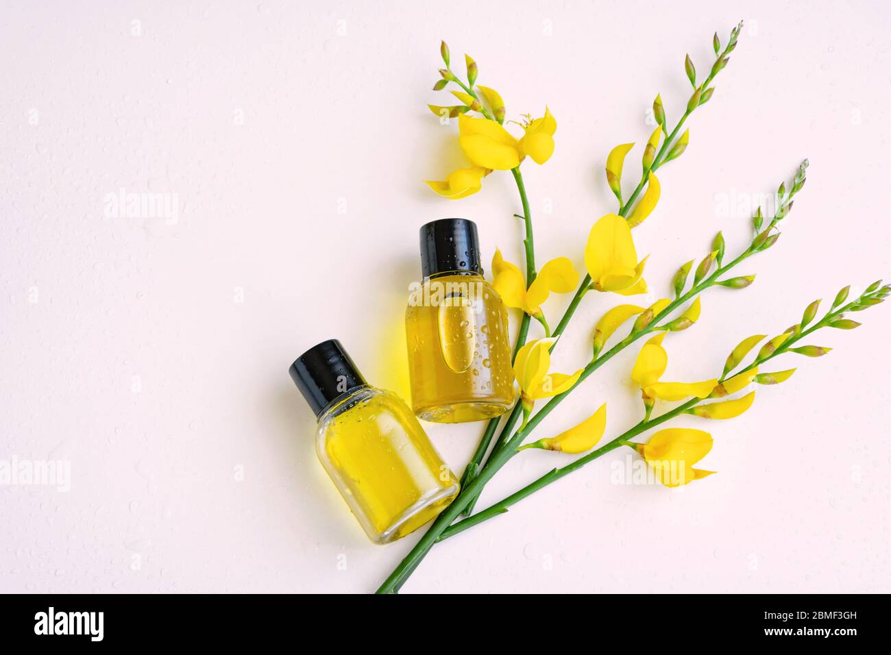 Essential oil with gorse flower extract. Hygiene bath product. Wellness therapy regeneration Stock Photo