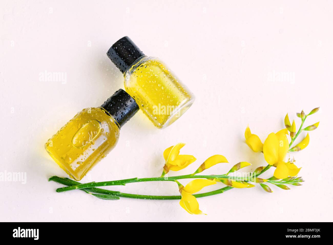Essential oil with gorse flower extract. Hygiene bath product. Wellness therapy regeneration Stock Photo