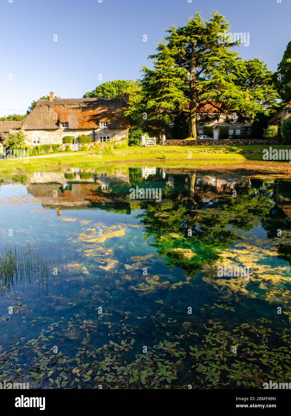 Traditional thatched cottages are reflected in the dew pond in the English village of Ashmore, Dorset. Stock Photo