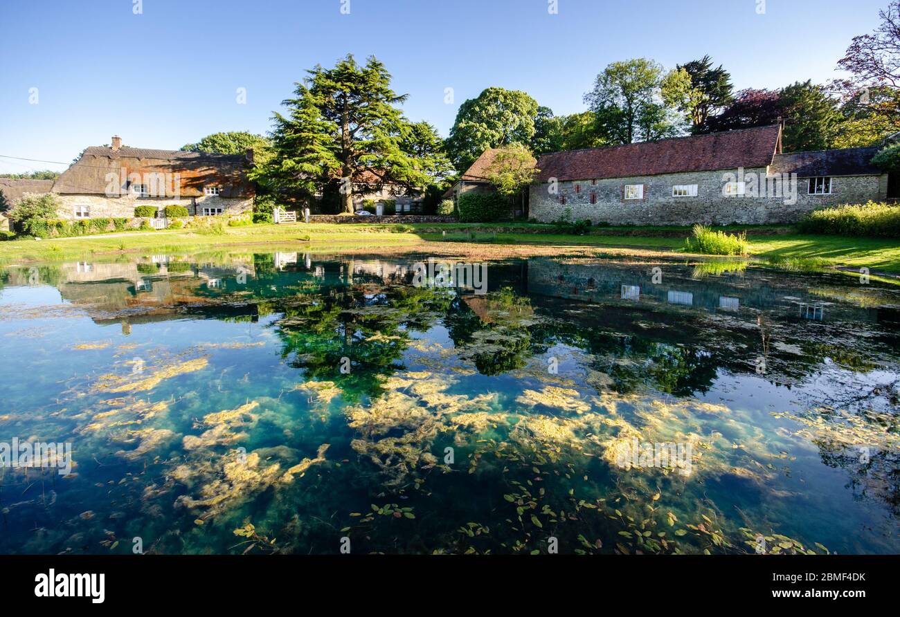 Traditional stone cottages surround the dew pond in Ashmore village, Dorset, England. Stock Photo