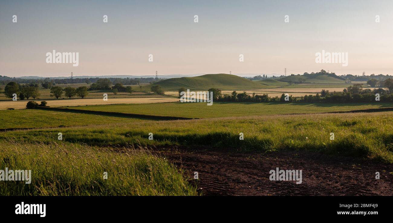 Harter's Hill rises from the low flatlands of Queen's Sedge Moor on the Somerset Levels. Stock Photo