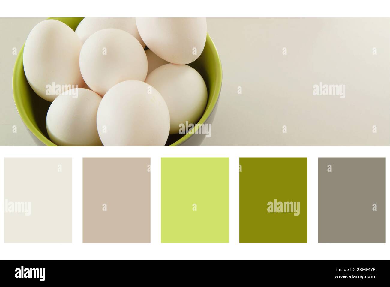 Eggs in green bowl in a colour palette, with complimentary colour swatches Stock Photo