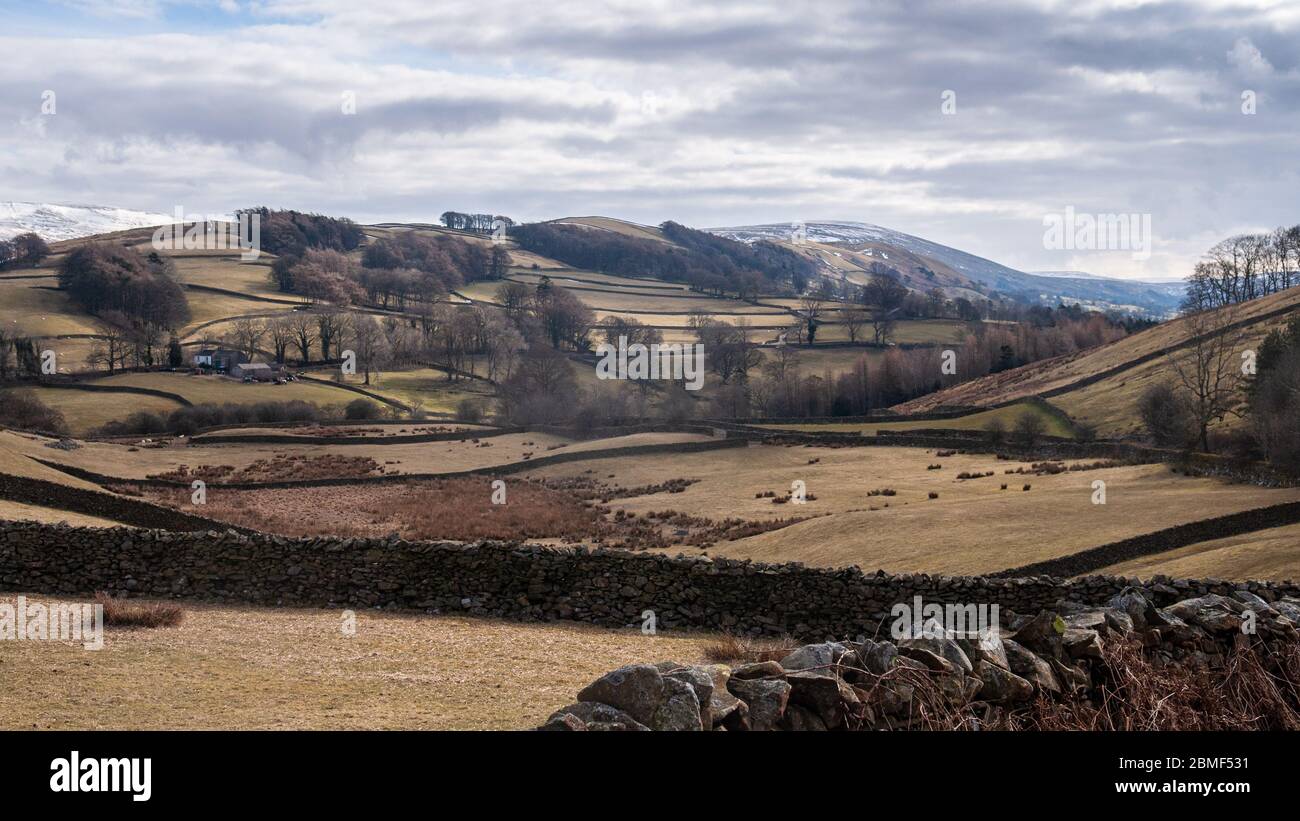 Rough grassland fields and patchwork woodland fills the valley of Dentdale in the Yorkshire Dales National Park. Stock Photo