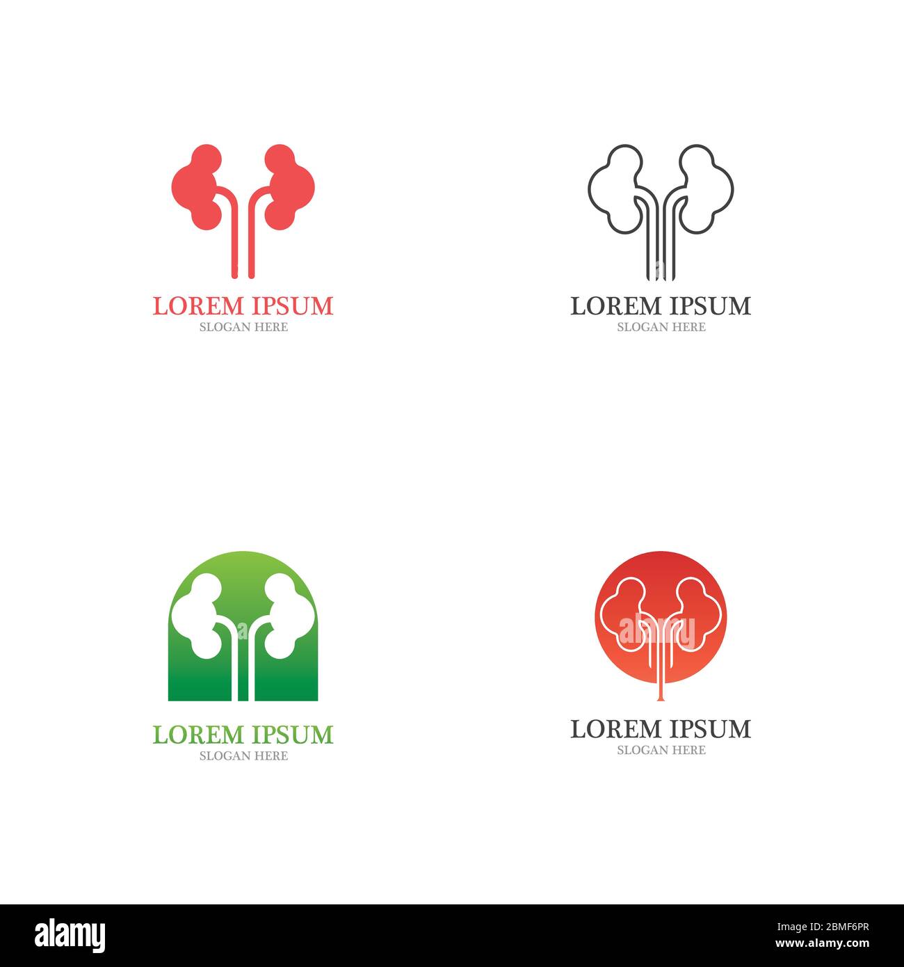 kidney vector illusrtation design logo template Stock Vector Image ...