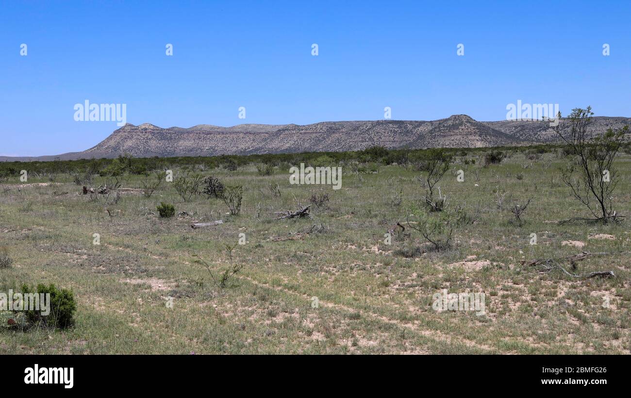 A view of a butte in the distance from a Sanderson Canyon roadside