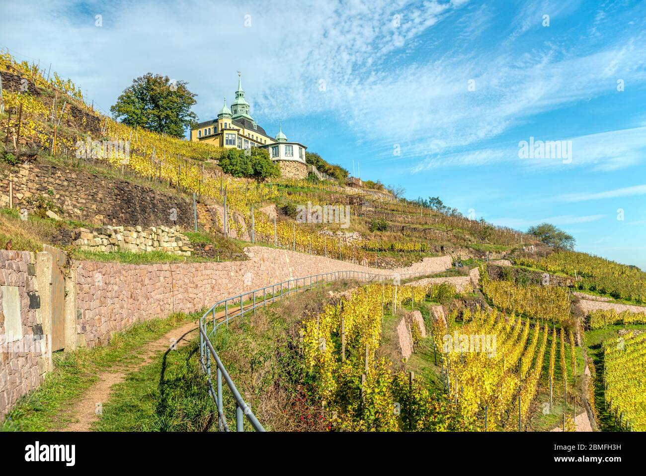 Radebeul Vineyards in Autumn, Elbe Valley, Saxony, Germany , with the Spitzhaus built in 1622 Stock Photo