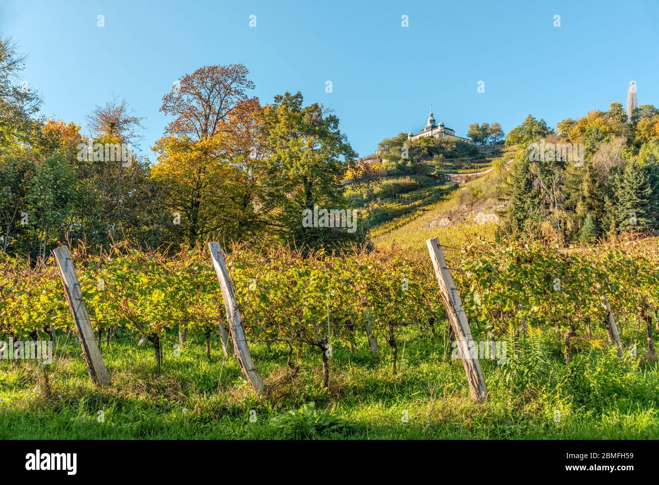 Radebeul Vineyards in Autumn, Elbe Valley, Saxony, Germany , with the Spitzhaus built in 1622 Stock Photo