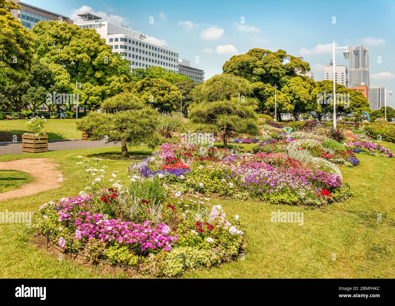 Three Rose Garden at Yamashita Park, Yokohama waterfront, Kanagawa, Japan Stock Photo