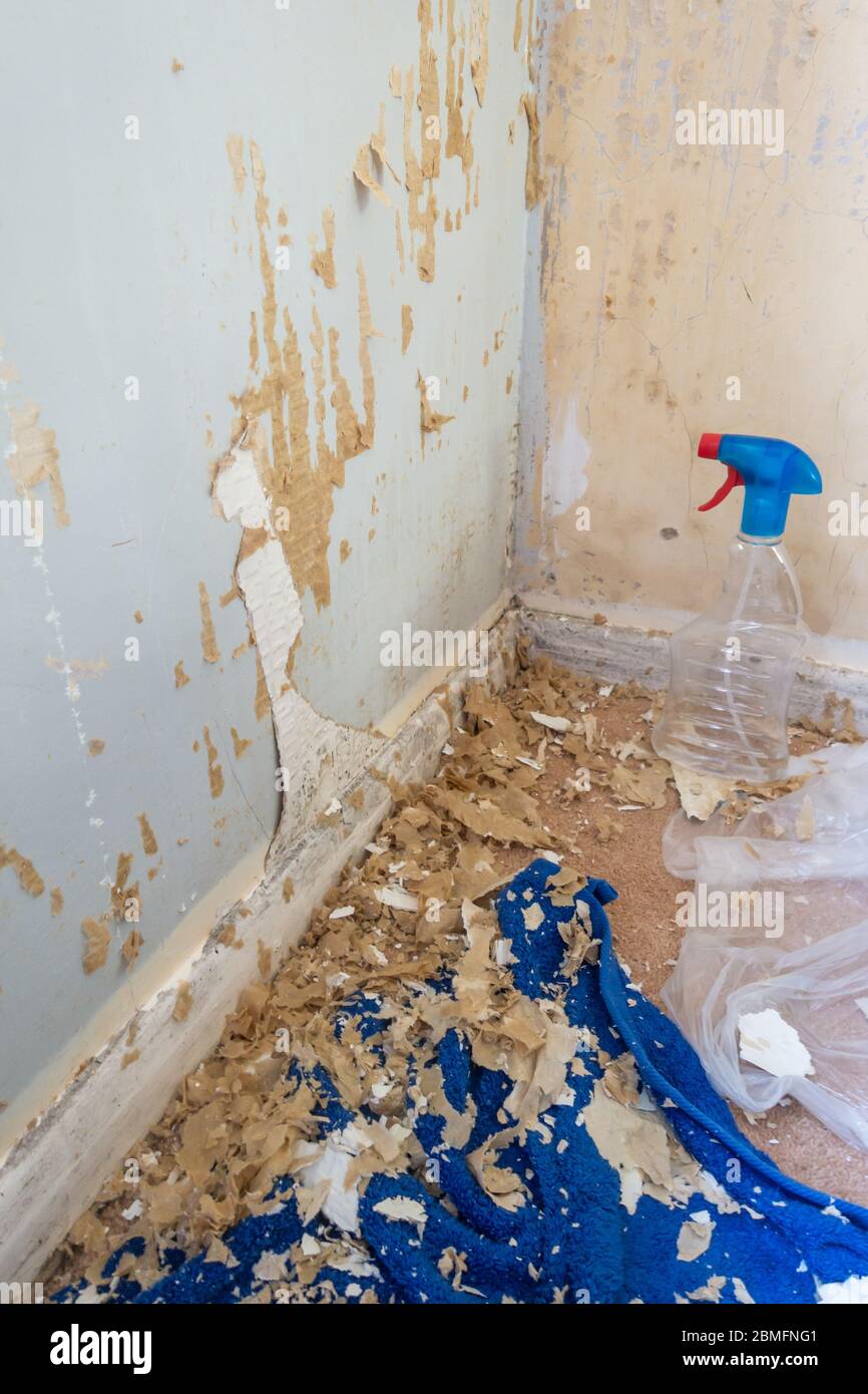 Stripping wallpaper off a wall with the help of a spray bottle full of